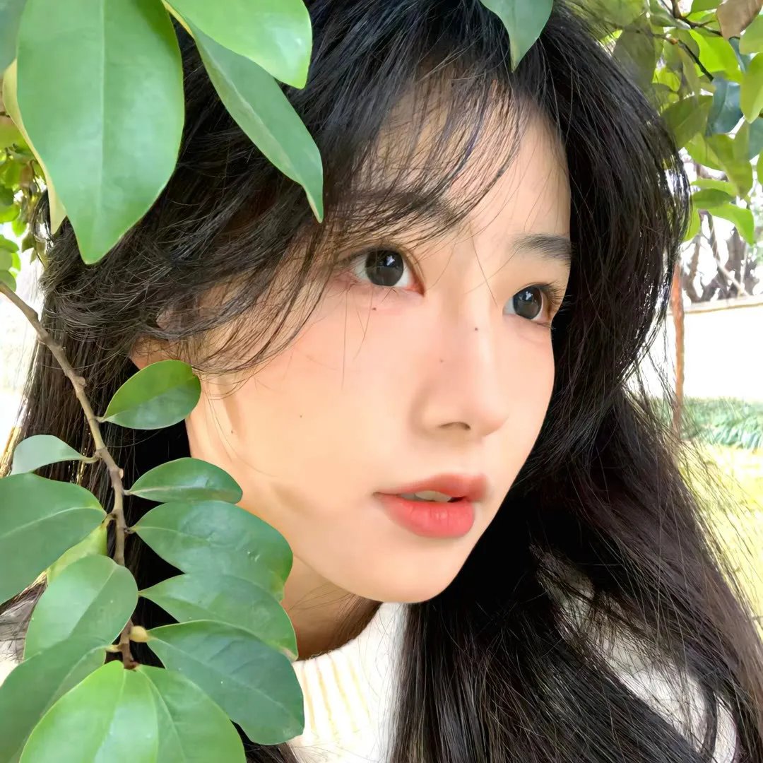 某种爱的纪录