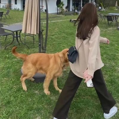 总统与奶牛